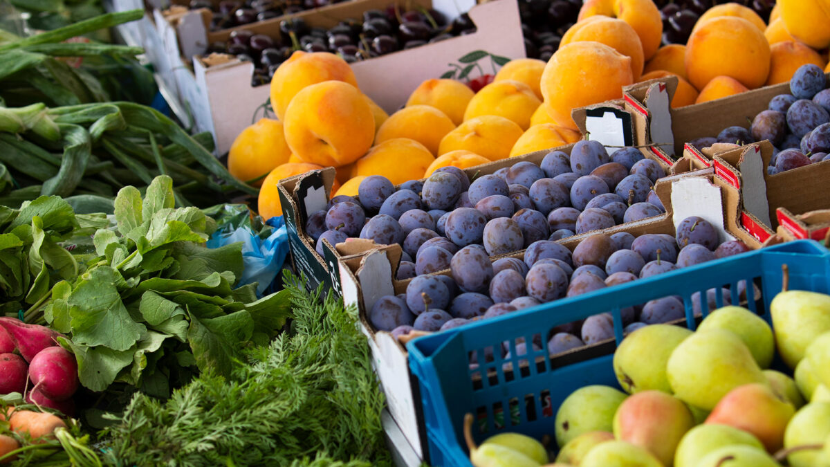 Loblaw’s Bold pledge to Feed More Families: 1 Billion Pounds of Food by 2028